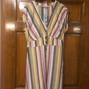Loft Sleeveless Botton down Dress. Size 12P